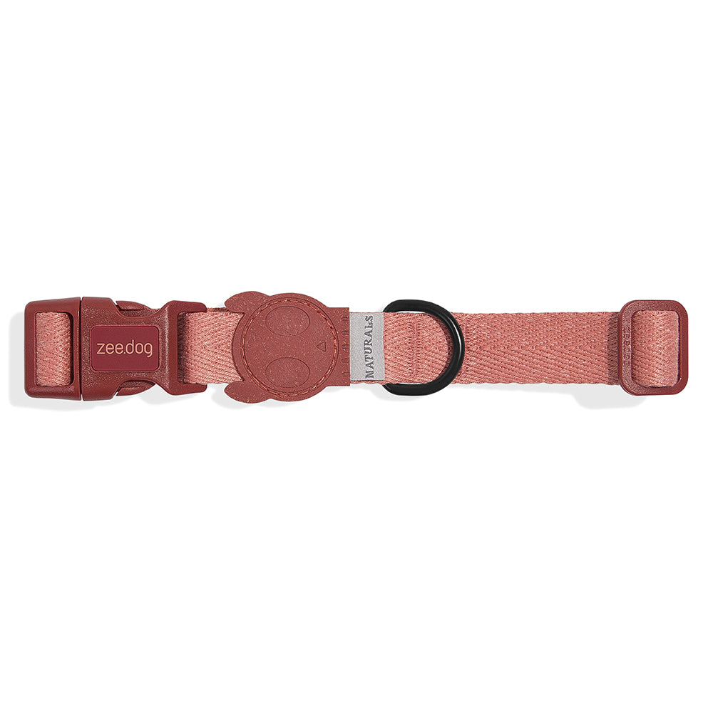 999115 CANYON COLLAR S キャニオン カラー S