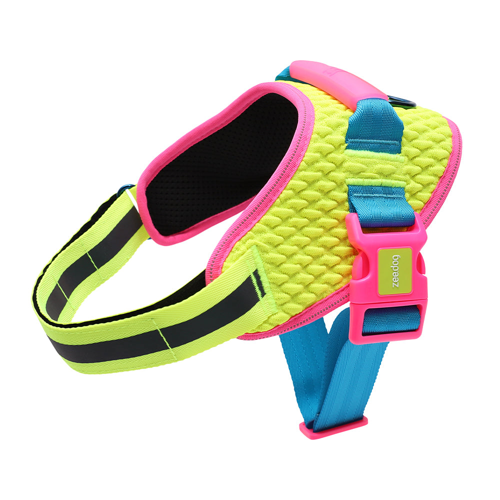 999872 CMYK FLY HARNESS S(2) CMYK フライハーネス S