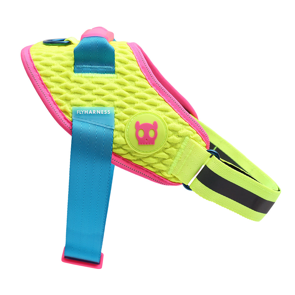 999872 CMYK FLY HARNESS S(2) CMYK フライハーネス S
