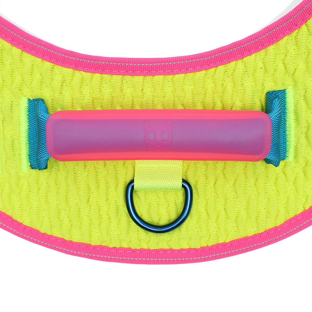 999872 CMYK FLY HARNESS S(2) CMYK フライハーネス S