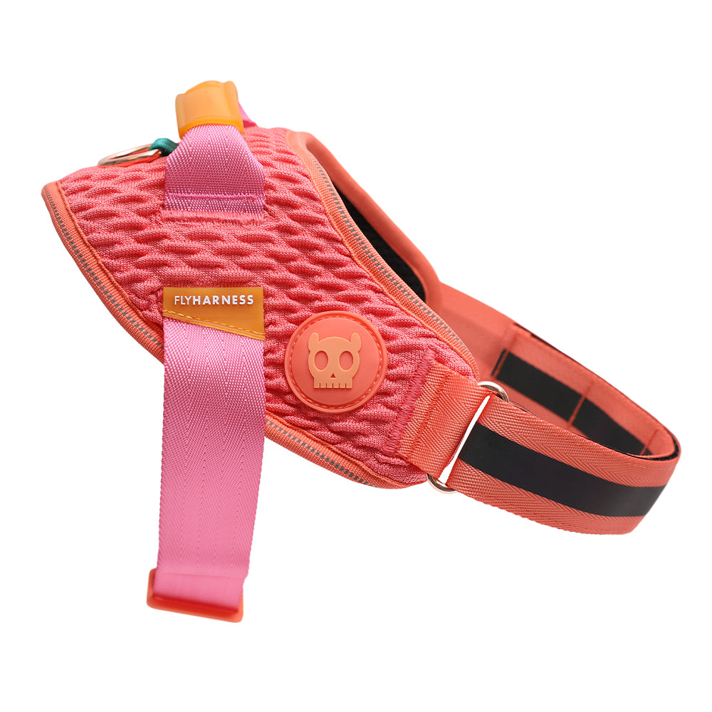 999866 GAZELLE FLY HARNESS XS(1) ガゼル フライハーネス XS