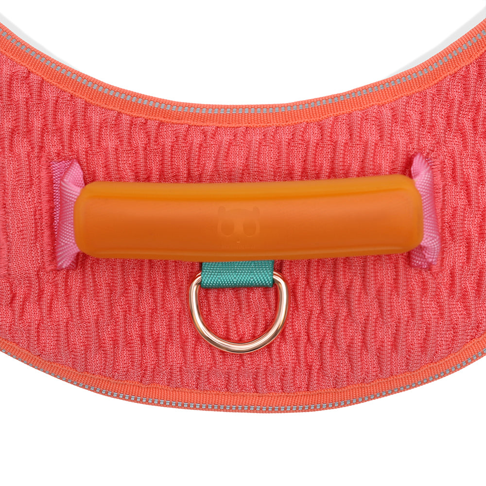 999866 GAZELLE FLY HARNESS XS(1) ガゼル フライハーネス XS