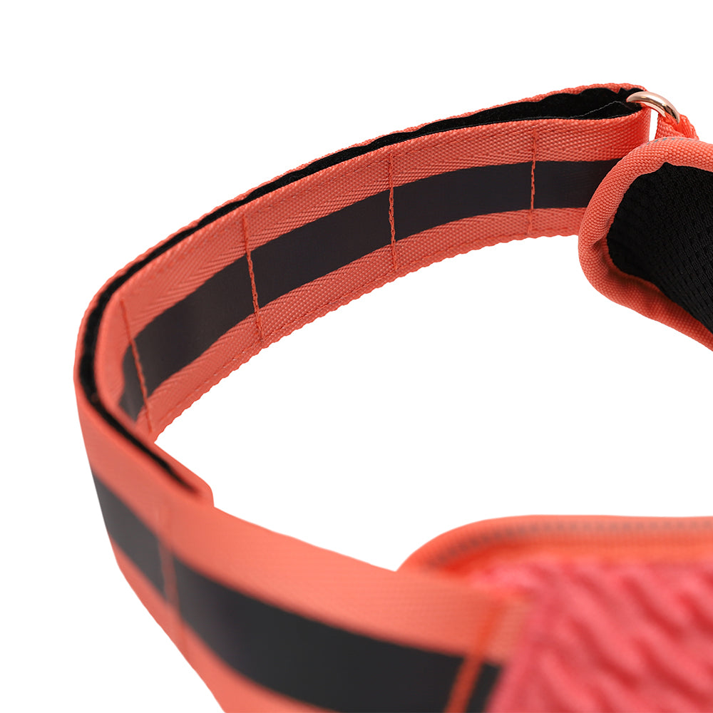 999866 GAZELLE FLY HARNESS XS(1) ガゼル フライハーネス XS