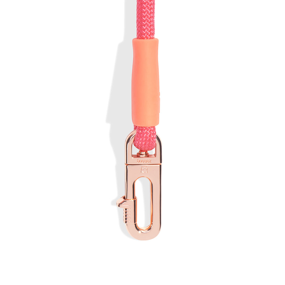 999882 GAZELLE HANDS-FREE LEASH ガゼル ハンズフリーリーシュ