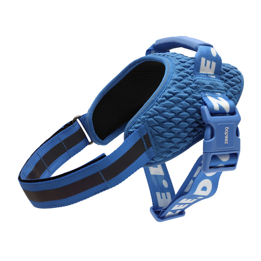 999876 SLAM DUNK FLY HARNESS XS(1) スラムダンク フライハーネス XS