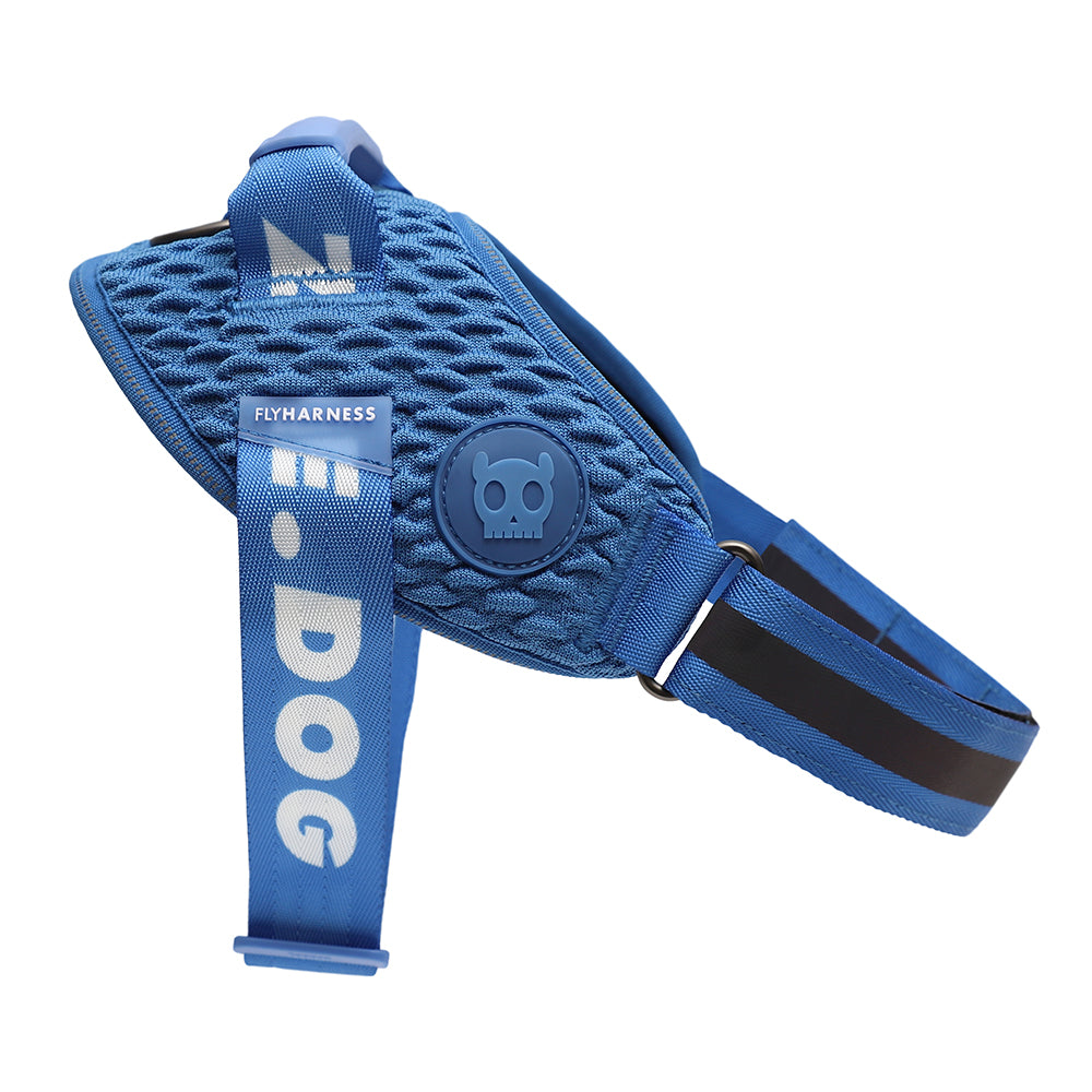 999876 SLAM DUNK FLY HARNESS XS(1) スラムダンク フライハーネス XS