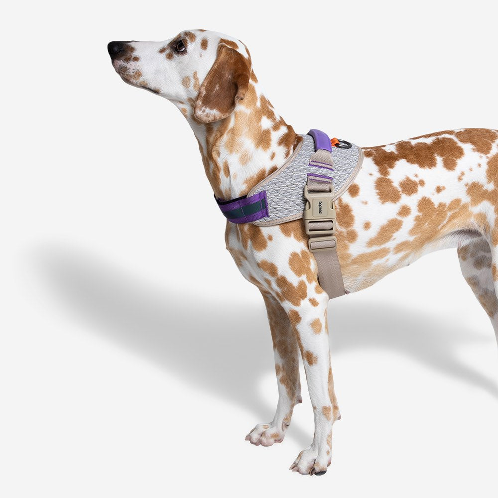 390300 ACG FLY HARNESS L(4) エーシージー フライハーネス L