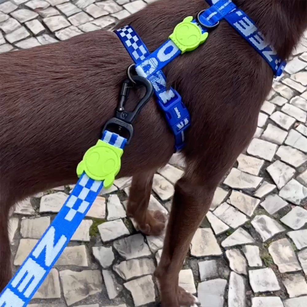 999020 ASTRO LEASH XS アストロ リード XS