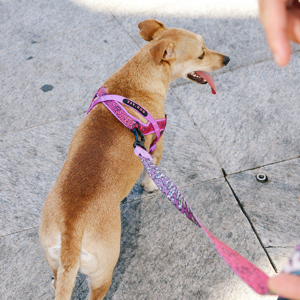 999529 ZEE.TOWN BRAIN SOFTER WALK HARNESS S ジータウン ブレイン ソフターウォークハーネス S