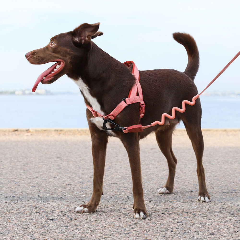 999149 CANYON RUFF LEASH L キャニオン ラフリード L