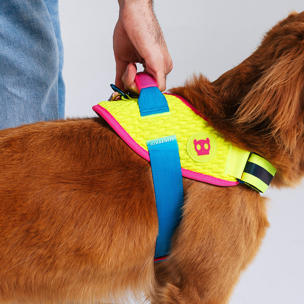 999872 CMYK FLY HARNESS S(2) CMYK フライハーネス S