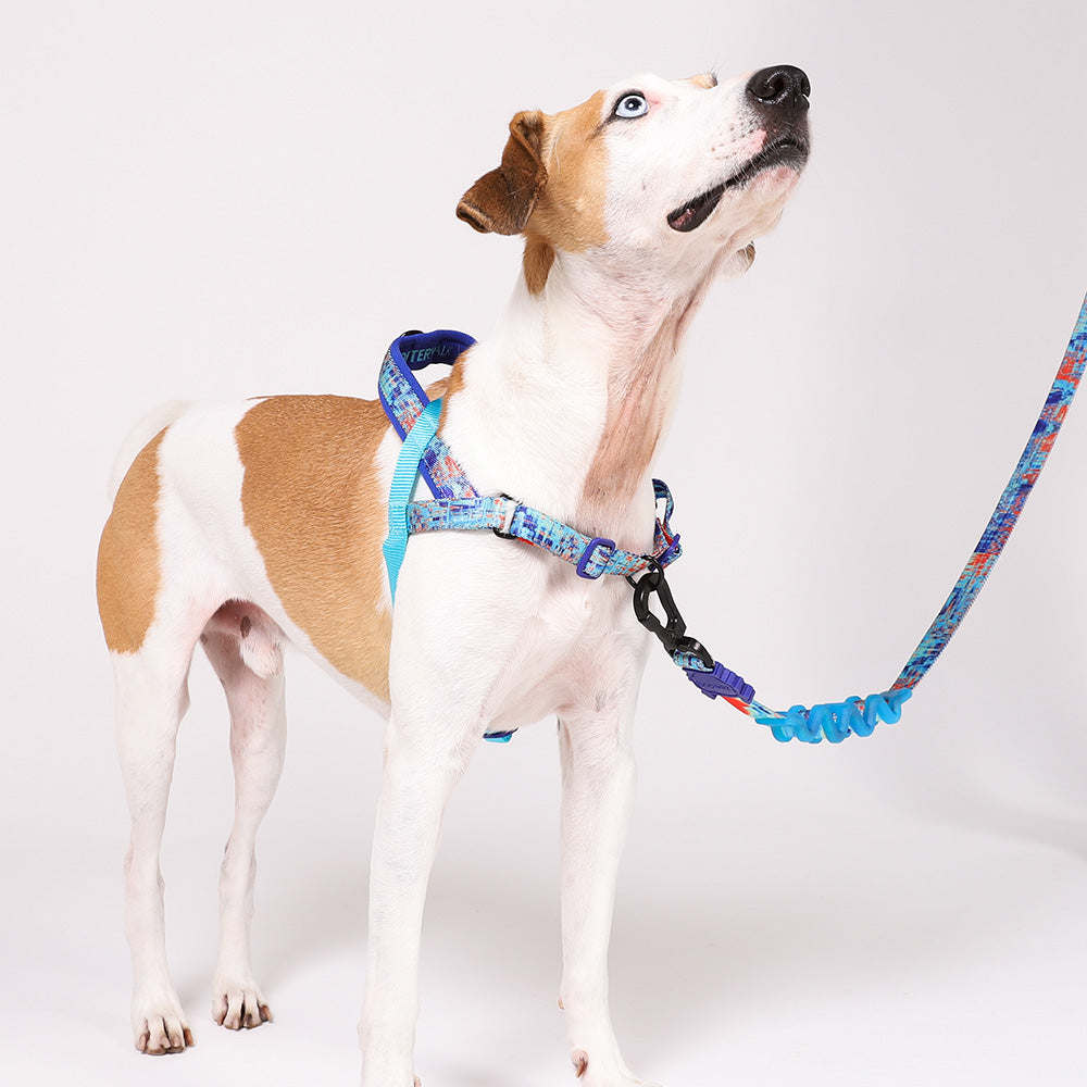 999853 GLITCH ERROR #404 SOFTER WALK HARNESS L グリッチ エラー#404 ソフターウォークハーネス L