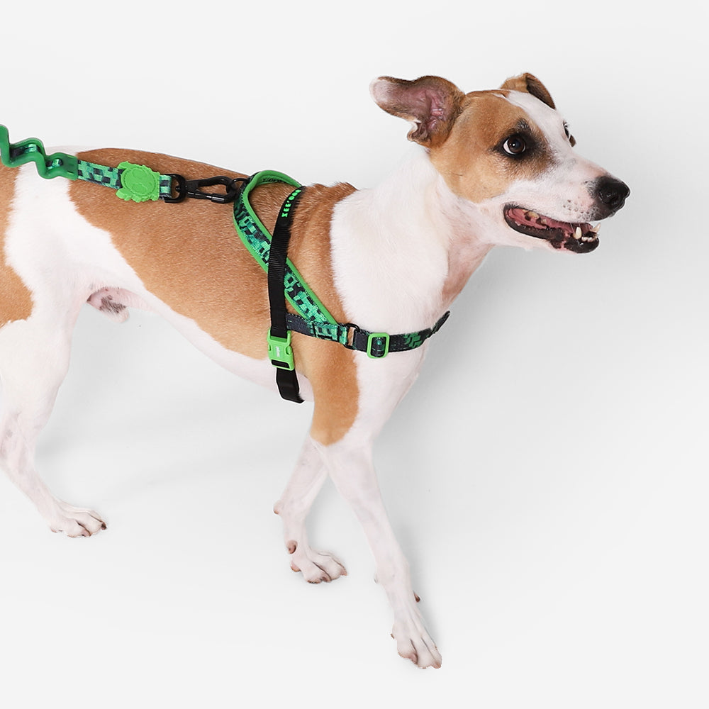999856 GLITCH ERROR #410 SOFTER WALK HARNESS L グリッチ エラー#410 ソフターウォークハーネス L