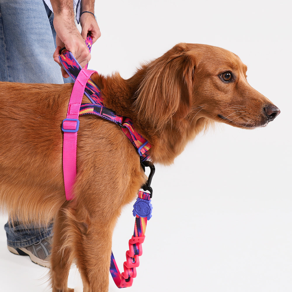 999859 GLITCH ERROR #500 SOFTER WALK HARNESS L グリッチ エラー#500 ソフターウォークハーネス L
