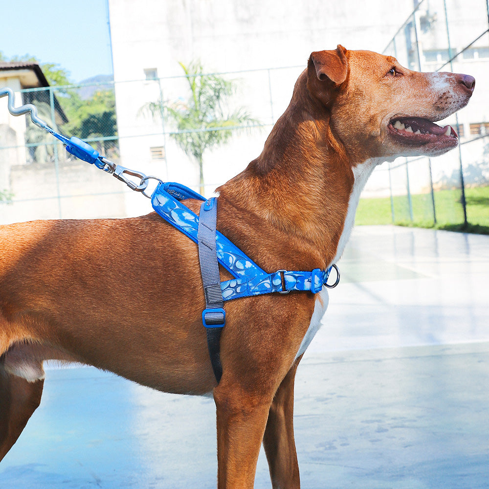 999992 H3D FLY SOFTER WALK HARNESS L H3D フライ ソフターウォークハーネス L