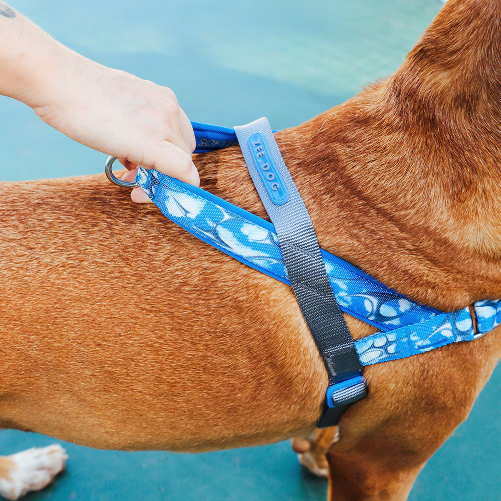 999992 H3D FLY SOFTER WALK HARNESS L H3D フライ ソフターウォークハーネス L