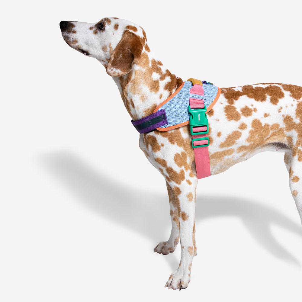 390303 GALAXY FLY HARNESS S(2) ギャラクシー フライハーネス S