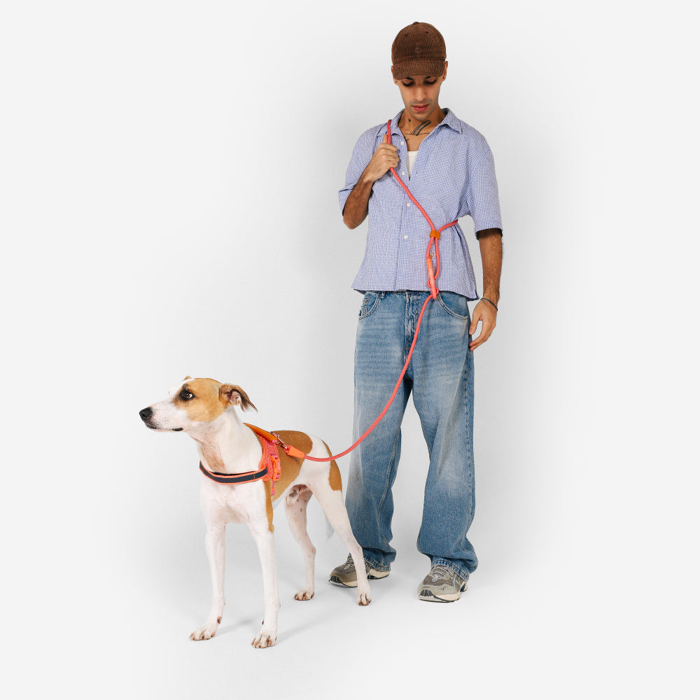 999882 GAZELLE HANDS-FREE LEASH ガゼル ハンズフリーリーシュ