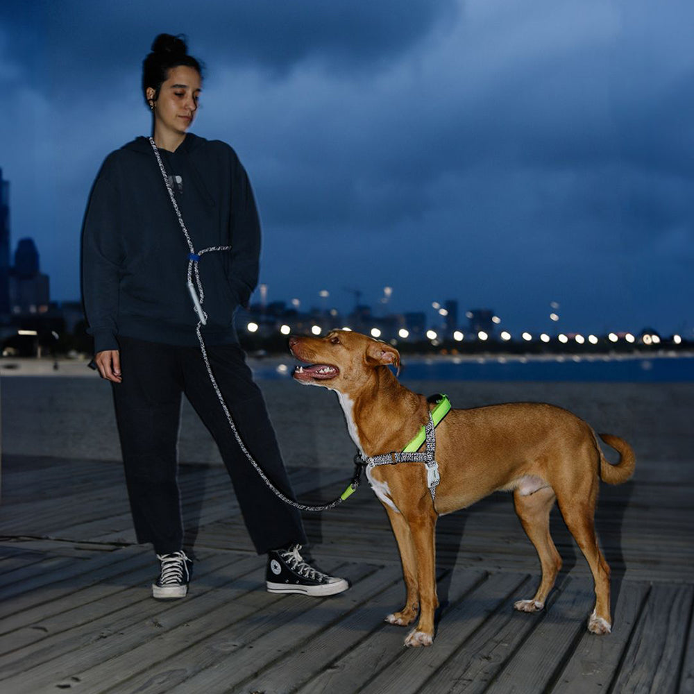 390502 NOX HANDS-FREE LEASH ノックス ハンズフリーリーシュ