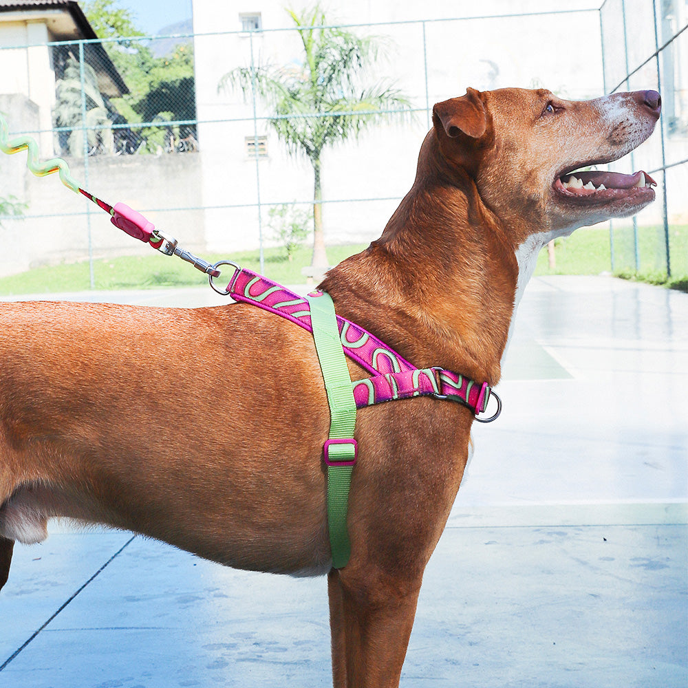 999993 H3D JELLY SOFTER WALK HARNESS S H3D ジェリー ソフターウォークハーネス S