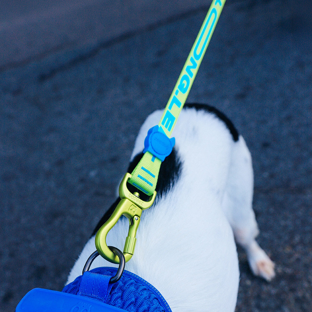 760007 RAYO LONG LEASH ラヨ ロングリーシュ