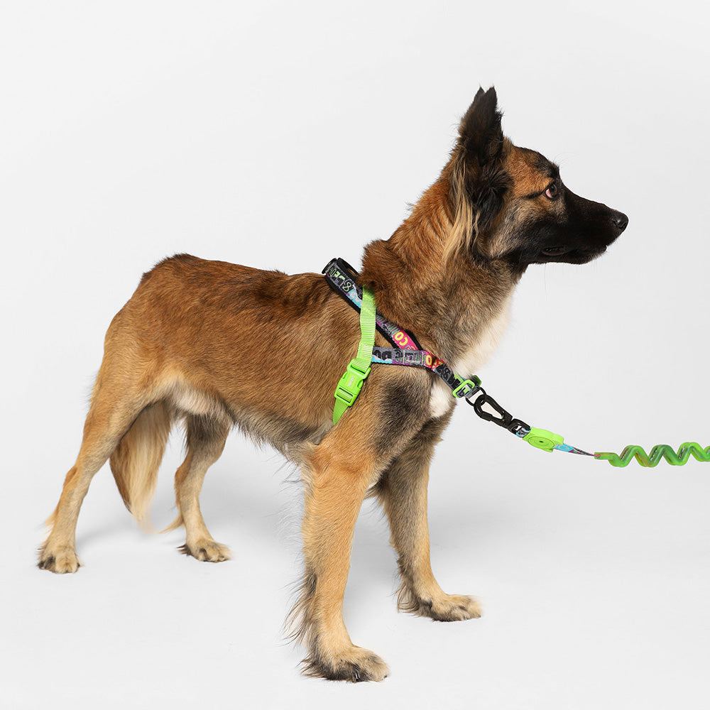 999538 ZEE.TOWN MANIFESTO SOFTER WALK HARNESS S ジータウン マニフェスト ソフターウォークハーネス S