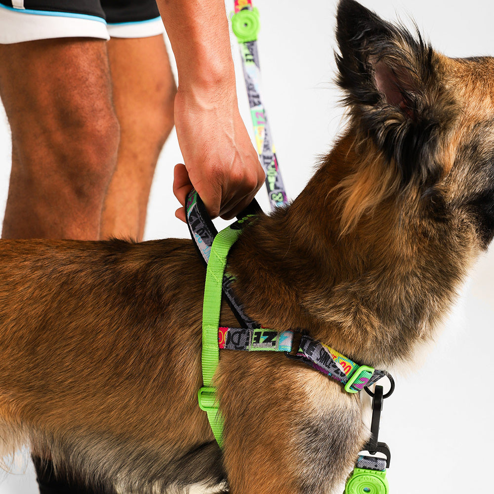 999538 ZEE.TOWN MANIFESTO SOFTER WALK HARNESS S ジータウン マニフェスト ソフターウォークハーネス S