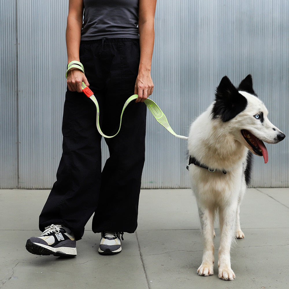 999164 GLUTEN NIT LEASH グルテン ニットリーシュ