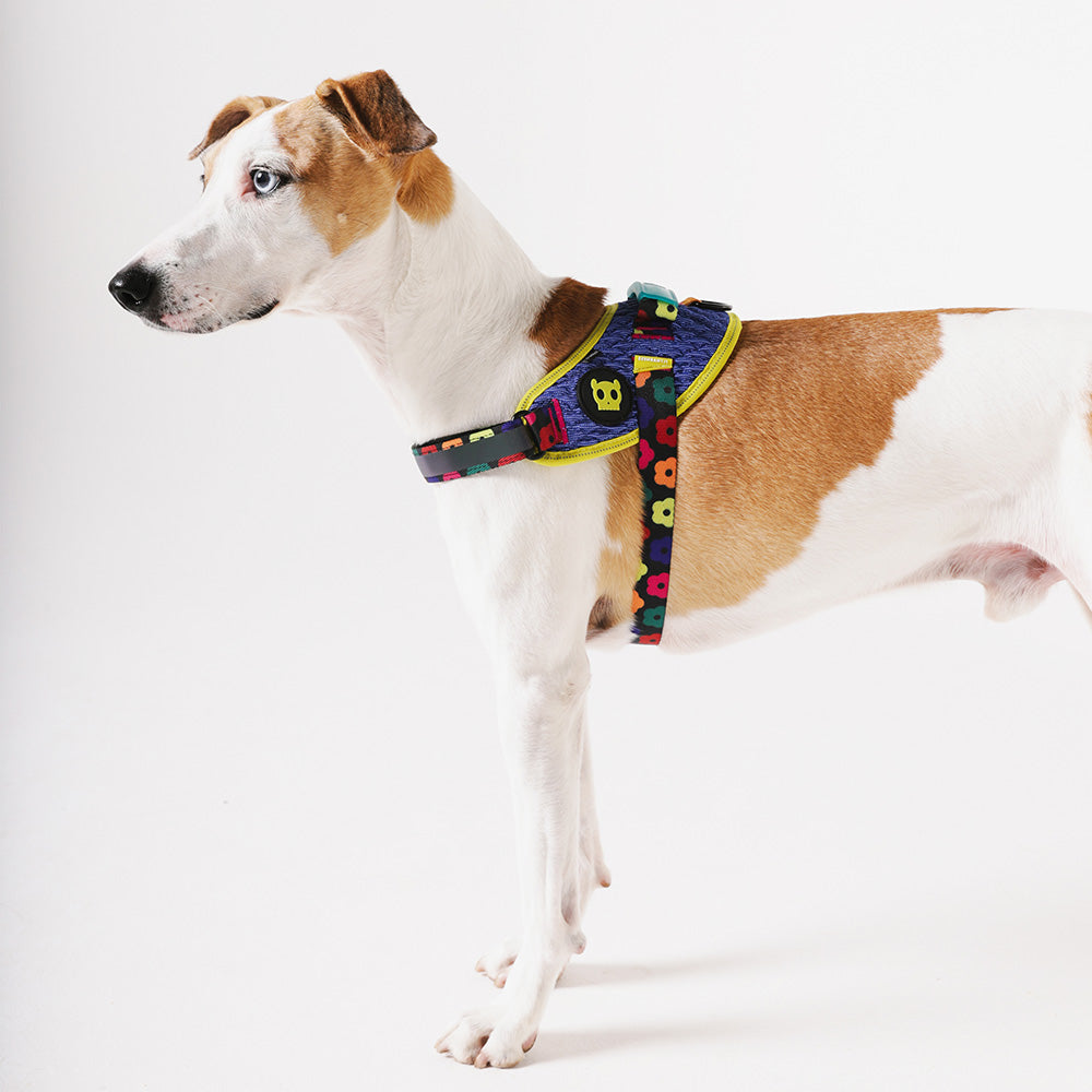 760095 FARM RIO SAMBA FLY HARNESS S(2) ファームリオ サンバ フライハーネス S