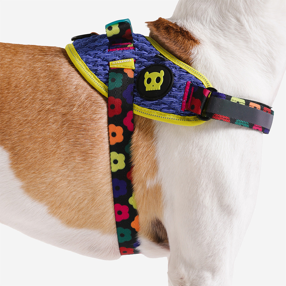 760095 FARM RIO SAMBA FLY HARNESS S(2) ファームリオ サンバ フライハーネス S