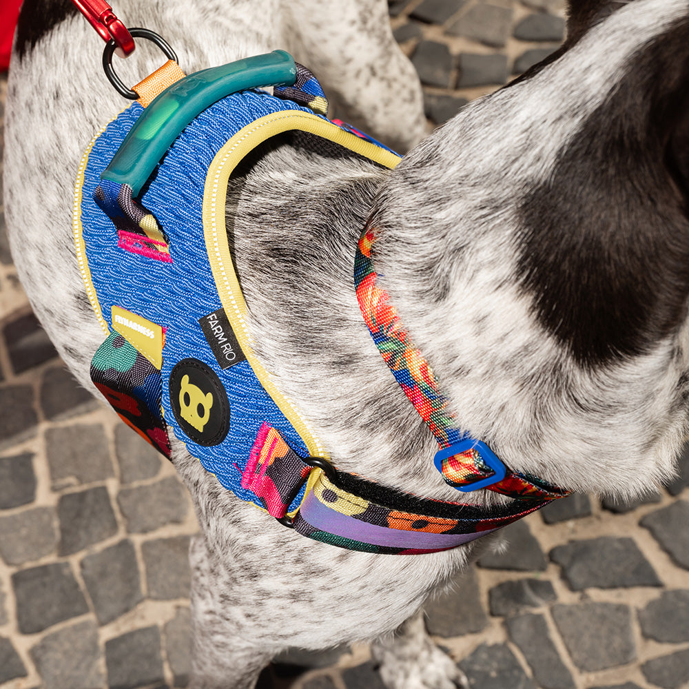 760095 FARM RIO SAMBA FLY HARNESS S(2) ファームリオ サンバ フライハーネス S