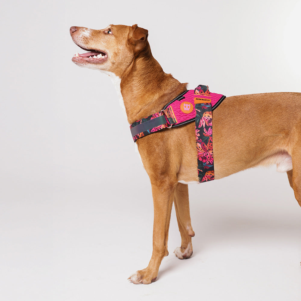 760100 FARM RIO SELVA FLY HARNESS S(2) ファームリオ セルバ フライハーネス S