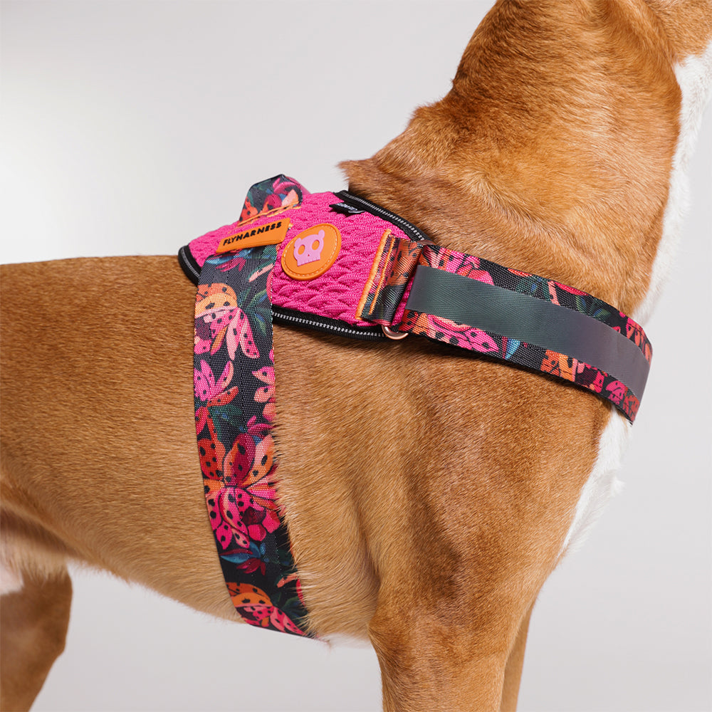 760100 FARM RIO SELVA FLY HARNESS S(2) ファームリオ セルバ フライハーネス S
