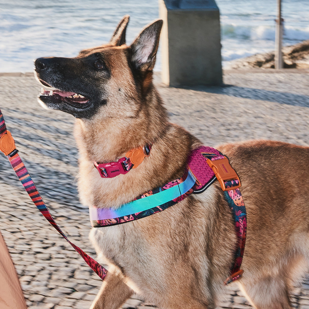 760100 FARM RIO SELVA FLY HARNESS S(2) ファームリオ セルバ フライハーネス S