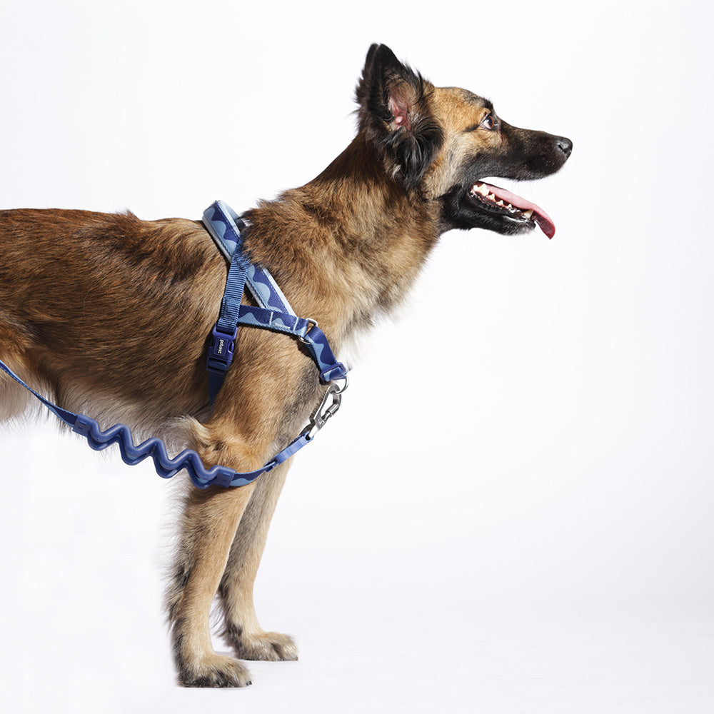 760161 SWELL SOFTER WALK HARNESS M スウェル ソフターウォークハーネス M