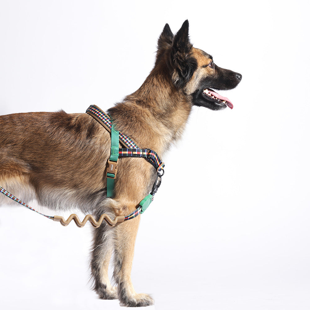 760157 TRAVIS SOFTER WALK HARNESS S トラビス ソフターウォークハーネス S