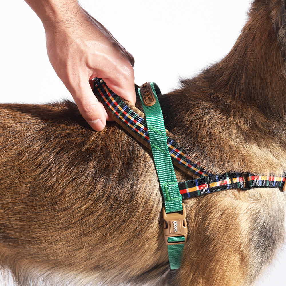 760157 TRAVIS SOFTER WALK HARNESS S トラビス ソフターウォークハーネス S