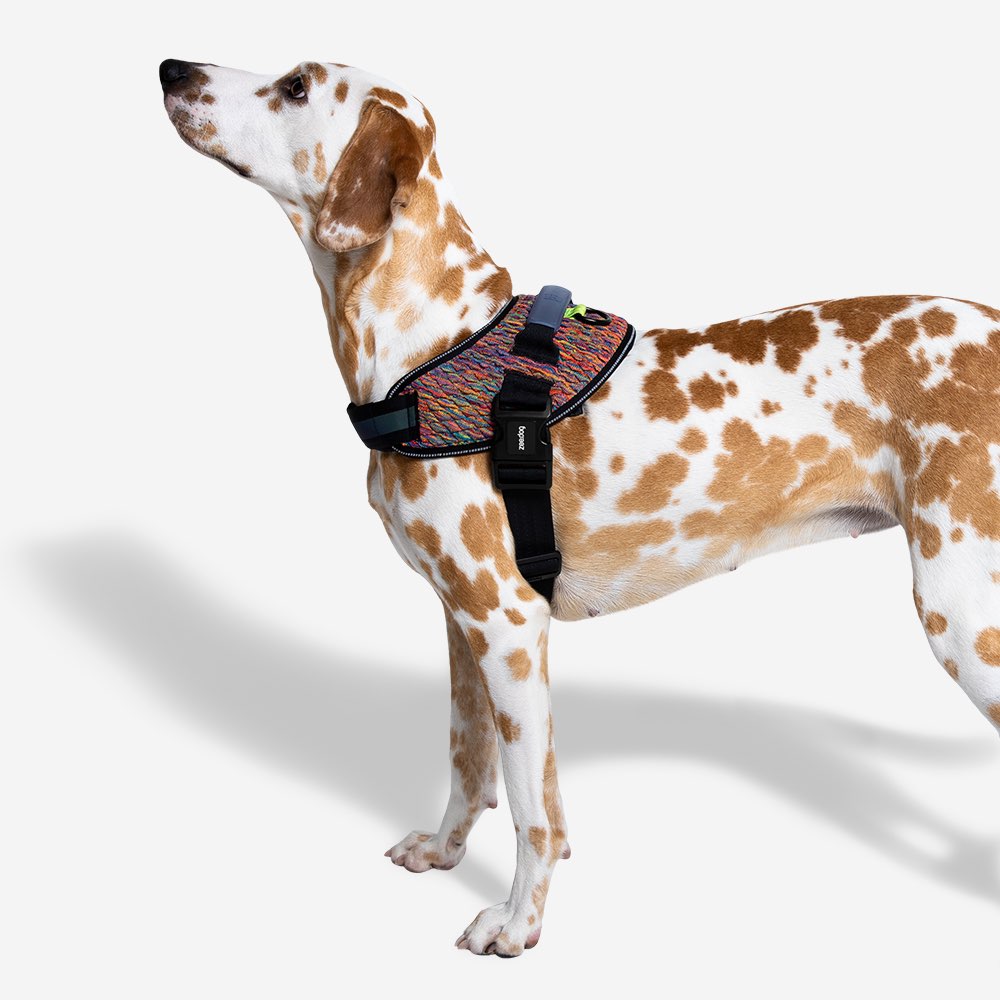 390294 VORTEX FLY HARNESS M(3) ボーテックス フライハーネス M