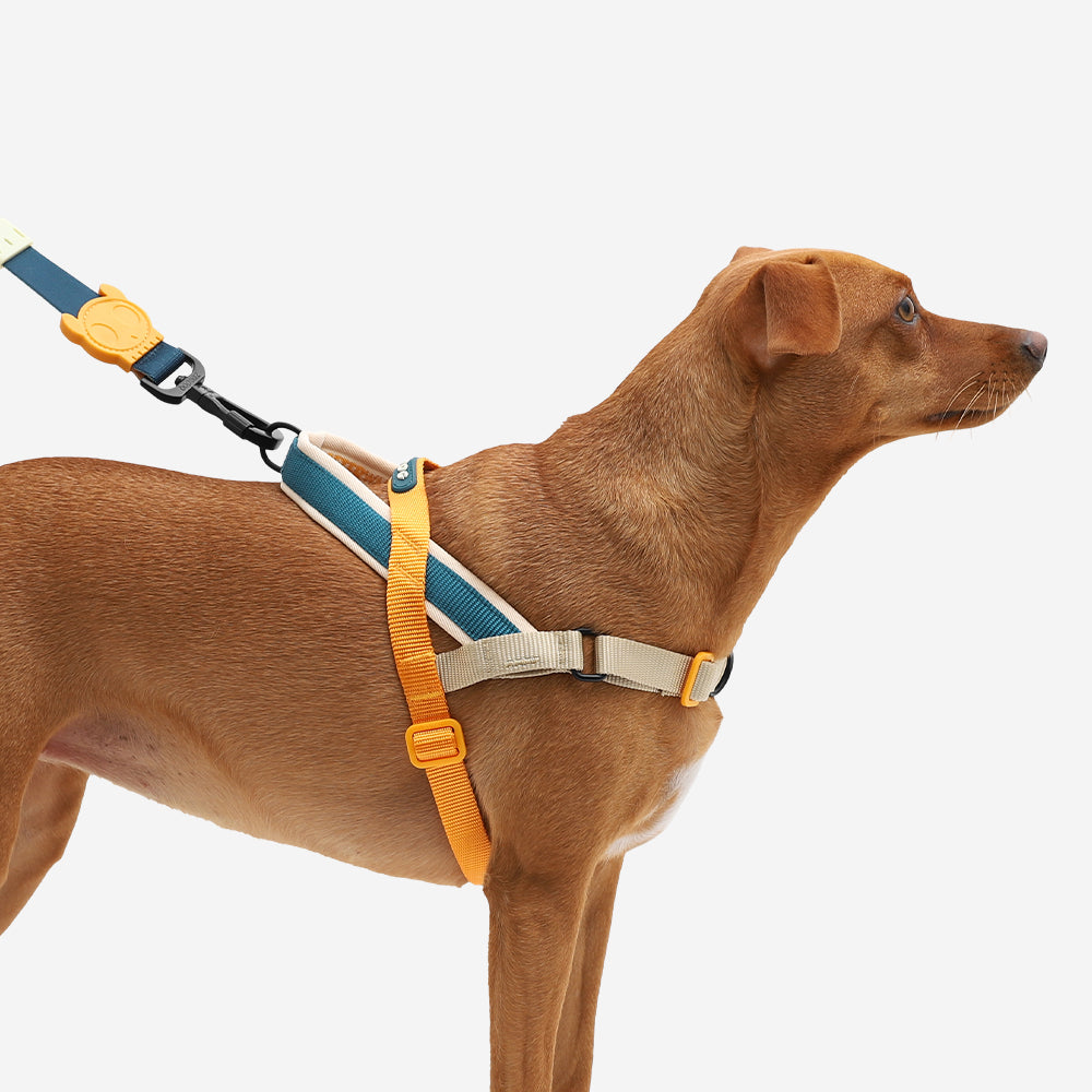 999066 VOYAGE SOFTER WALK HARNESS M ボヤージュ ソフターウォークハーネス M