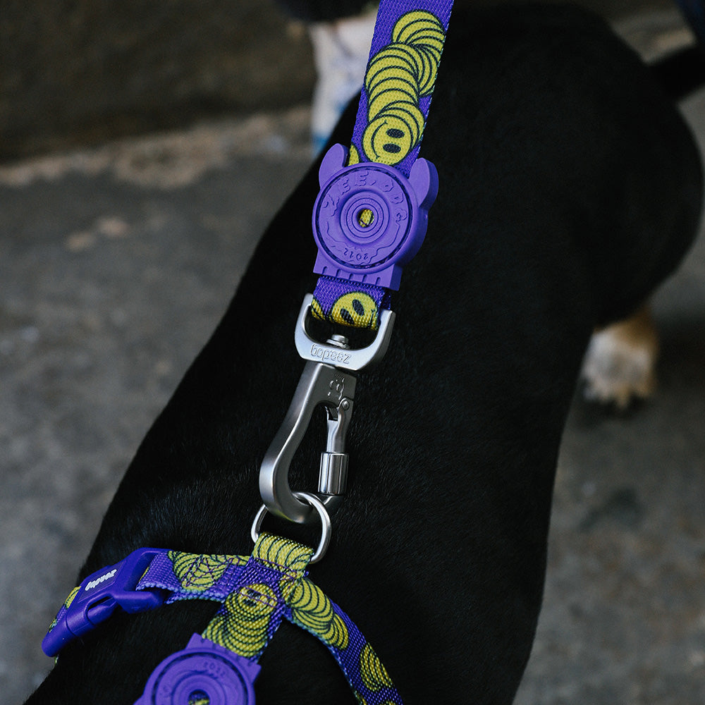 999484 ZEE.TOWN ZMILEY LEASH L ジータウン ズマイリー リード L