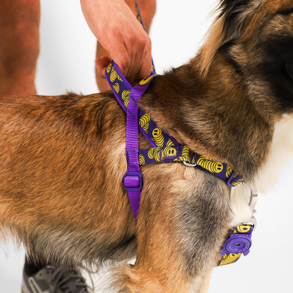 999536 ZEE.TOWN ZMILEY SOFTER WALK HARNESS M ジータウン ズマイリー ソフターウォークハーネス M