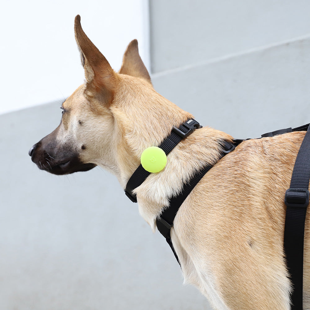 390433 AIRTAG HOLDER LIME エアタグ ホルダー ライム