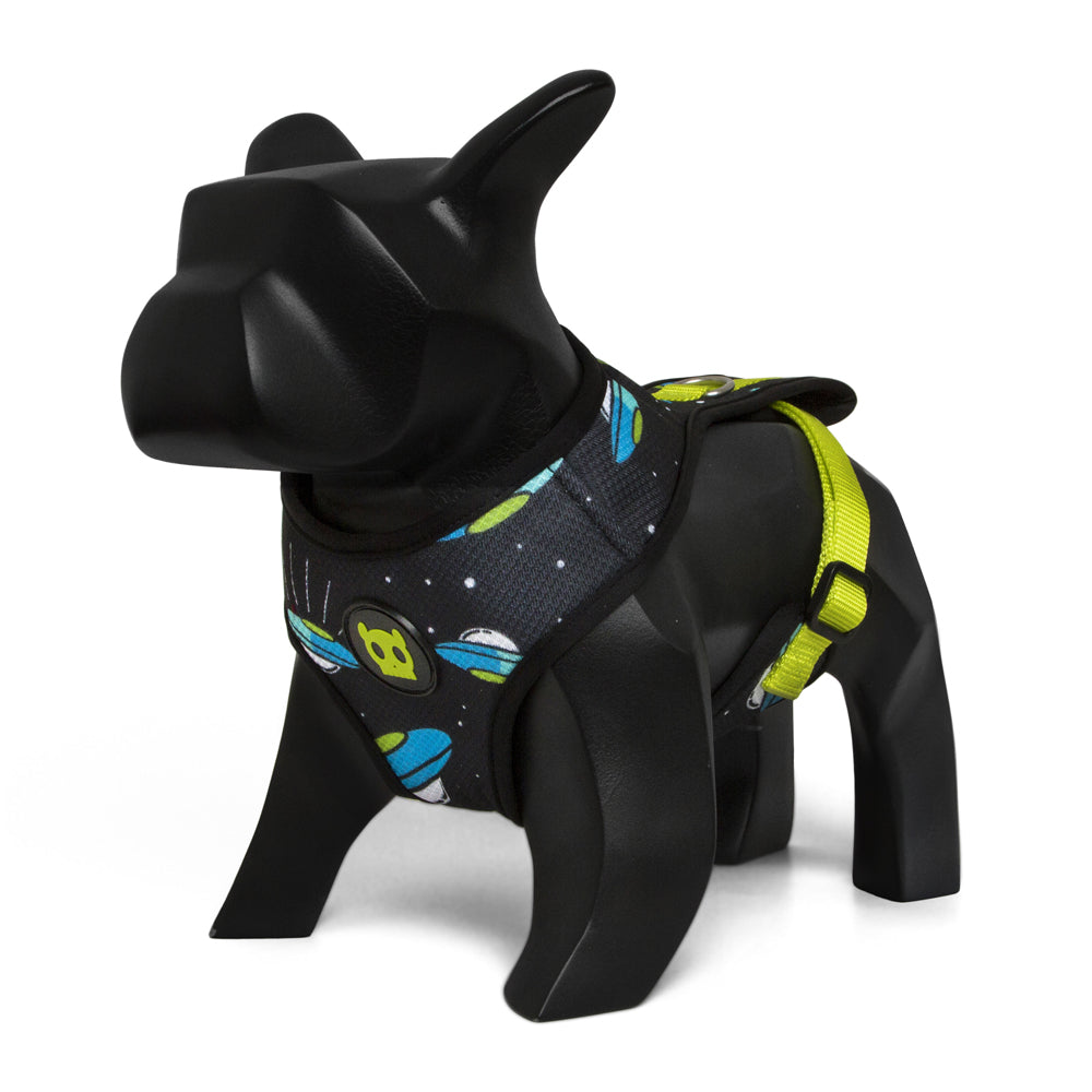 22863 AREA 51 MESH HARNESS XS エリア51 メッシュハーネス XS