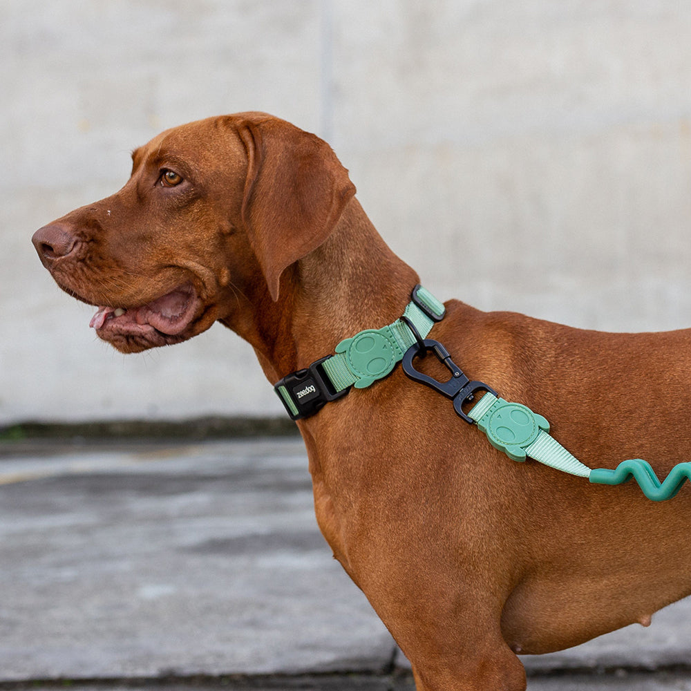 395712 ARMY GREEN COLLAR S アーミーグリーン カラー S
