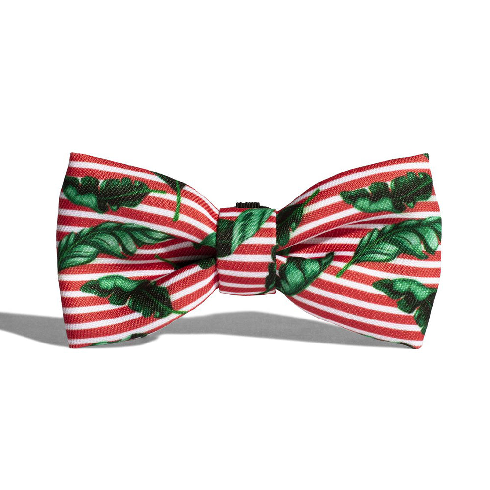 702630 BALI BOW TIE S バリ ボウタイ S