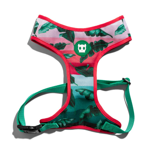 702623 BALI MESH HARNESS XS バリ メッシュハーネス XS