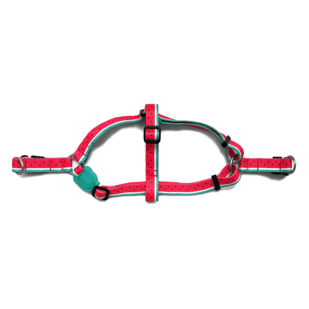 2336 LOLA STEPIN HARNESS L ローラ ステップインハーネス L