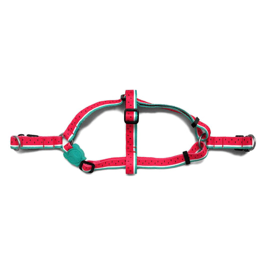 2336 LOLA STEPIN HARNESS L ローラ ステップインハーネス L