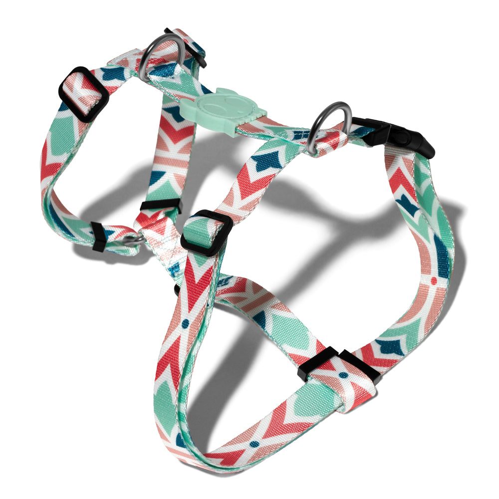 570780 MARCUCH H-HARNESS XS マルク Hハーネス XS