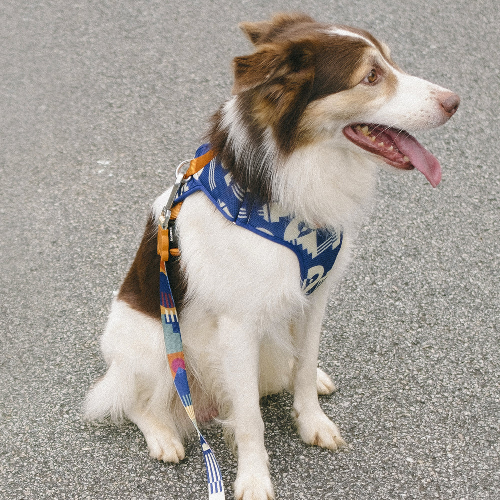 395607 MAZE ADJUSTABLE AIR MESH HARNESS L メイズ アジャスタブルメッシュハーネス L